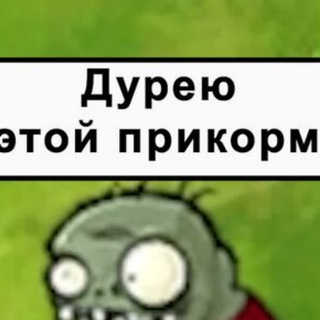 Канал Я ДУРЕЮ С ЭТОЙ ПРИКОРМКИ
