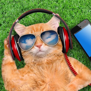 Канал   Котануты