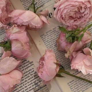 Канал   Girl's room💓