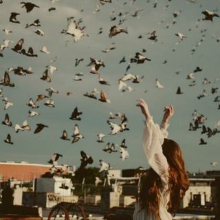 Канал   Over the moon🌙