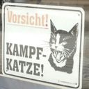 Канал Бундес-записки