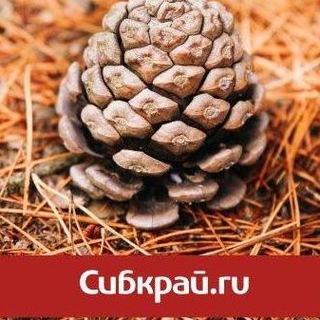 Канал   СИБКРАЙ