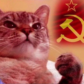 Канал   🇳 🇰 🇴 🇻 🇮 🇩 🇪 