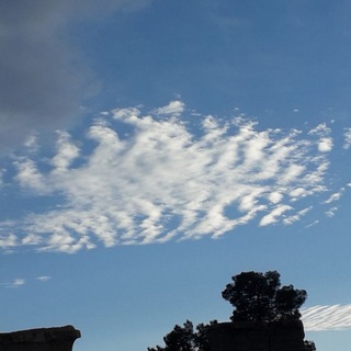 Канал   Погода с Татьяной Поздняковой (Метеоновости)