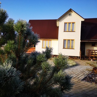 Канал   Новая дача