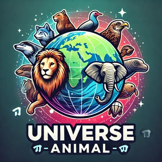 Канал   Universe Animal
