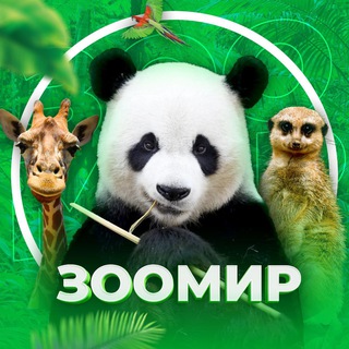 Канал   ЖИВОТНЫЕ | ДОМАШНИЕ ПИТОМЦЫ