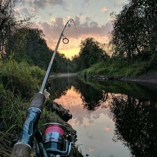 Канал   Рыбалка видео