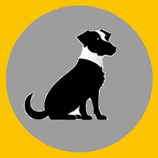 Канал   Товары из Китая для Вашего бизнеса