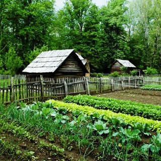 Канал   САМ СЕБЕ ДАЧНИК