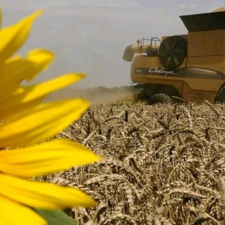 Канал   С/Х Техника и Зерно РФ