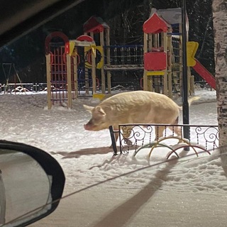 Канал   Пердарин