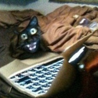 Канал   Wtf iz diz