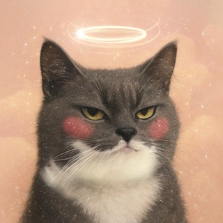 Канал   Пирожок с привкусом презрения