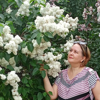 Канал   Адвокат ОЗен