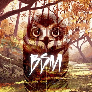 Канал   BETSPOT спортивные прогнозы