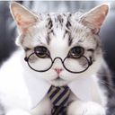 Канал Котики в очках 