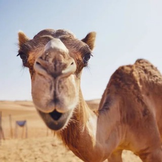   Челябинск Новости | Подслушано Челябинск