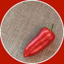 Канал Разумова на кухне