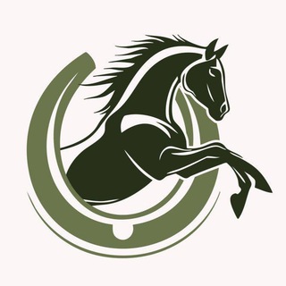 Канал   WHITE HORSE