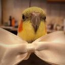 Канал пикчи для переговоров