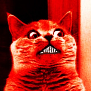 Канал   Красный Кот