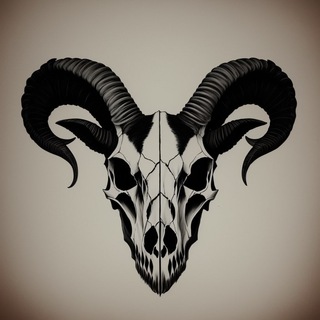 Канал   Xtreme Team