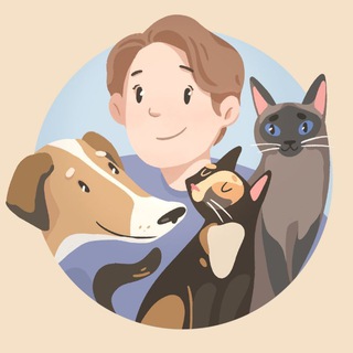 Канал   How to be Meow