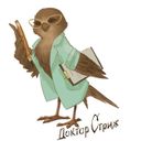 Канал Доктор Стриж