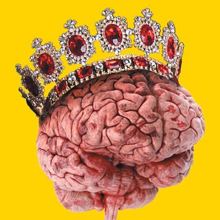 Канал   Нейрон мозга 🧠