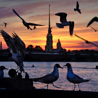 Канал   s.p.b178