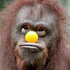 Канал Бородатые анекдоты