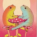 Канал Жабоград