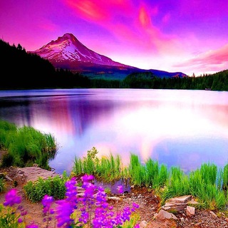 Канал   Человек и планета