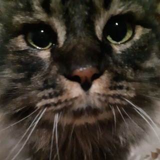 Канал   Всячина🤨