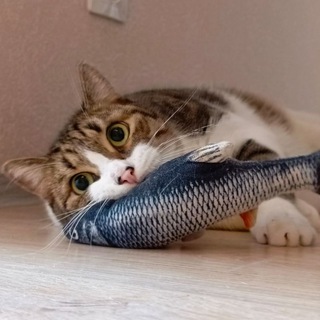 Канал   Твой сосед