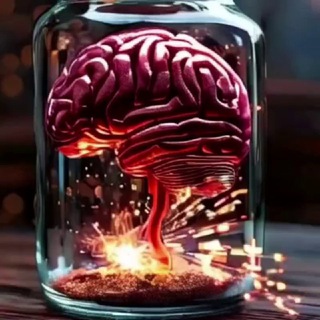 Канал   Факт-тайм