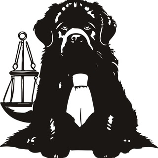 Канал   Юридическое бюро Веста