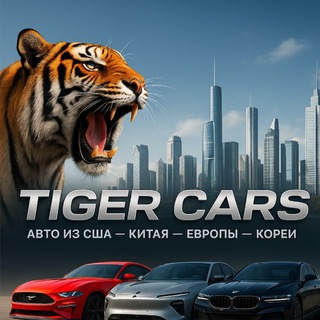 Канал   Tiger Cars. Авто из США-Китая-Европы-Кореи