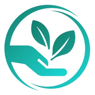 Канал   Fito Stor