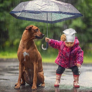 Канал   Добрые Новости