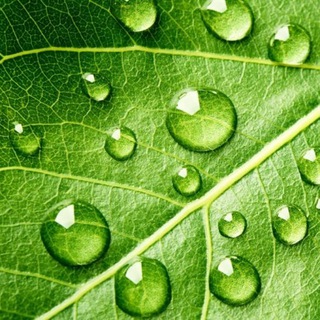 Канал   Погода в Краснодаре