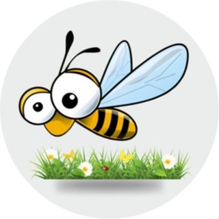 Канал   BiPchel