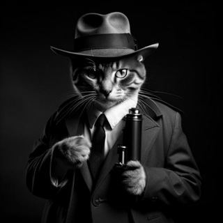 Канал   Вендетта Венедиктова