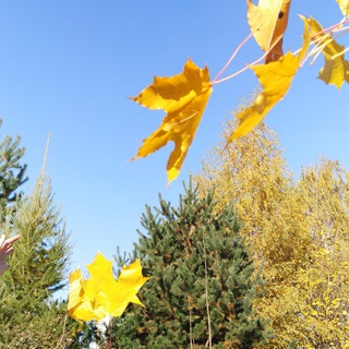 Канал   НеИнфа|События. Факты