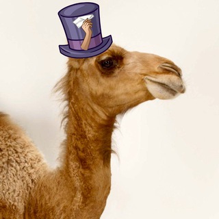 Канал   Челябушка