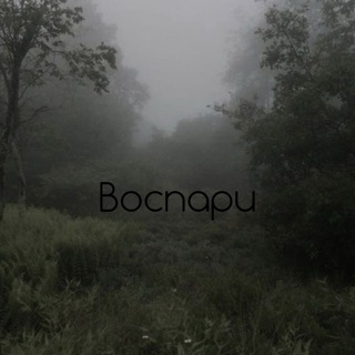 Канал   В О С П А Р И