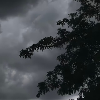 Канал   Авто-журнал «Сarvolution»