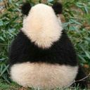 Канал Гифки от дройди