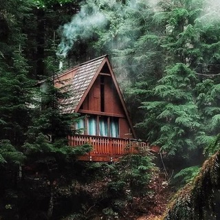 Канал   Домик в лесу